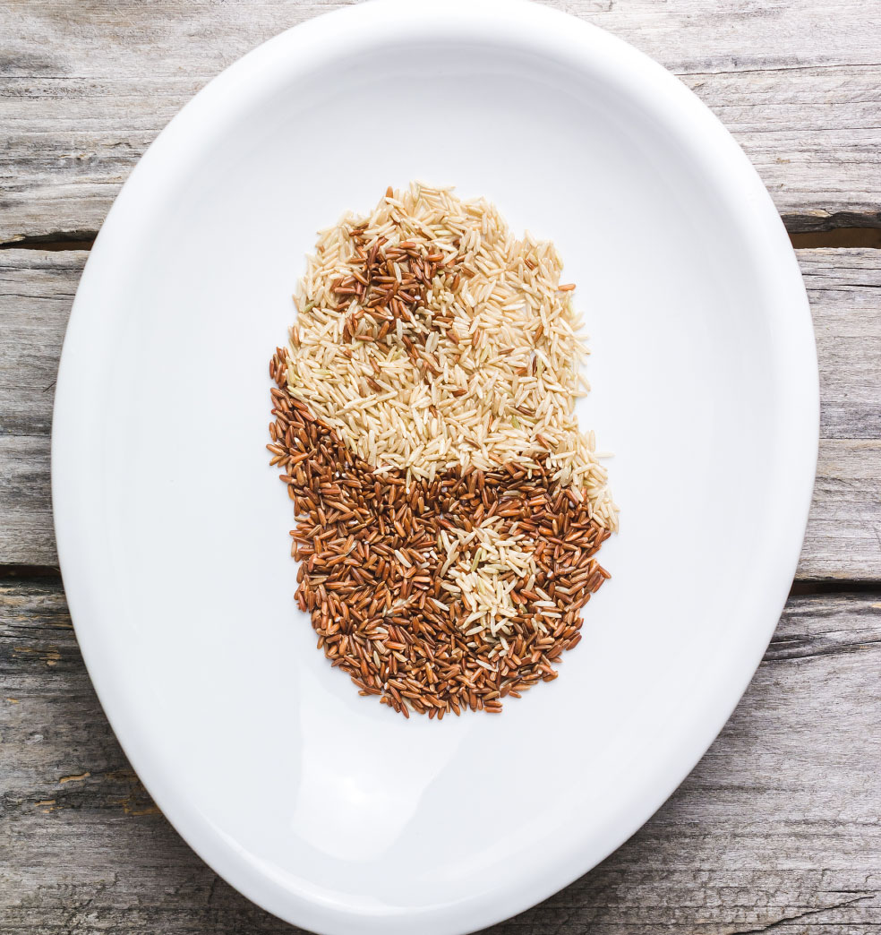 Alimentos energéticos: Pilar para la nutrición en invierno