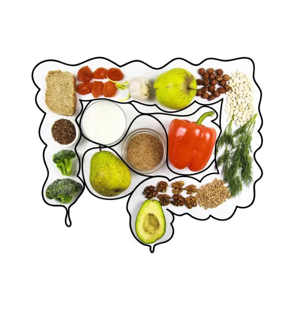 Alimentación para cuidar la microbiota intestinal