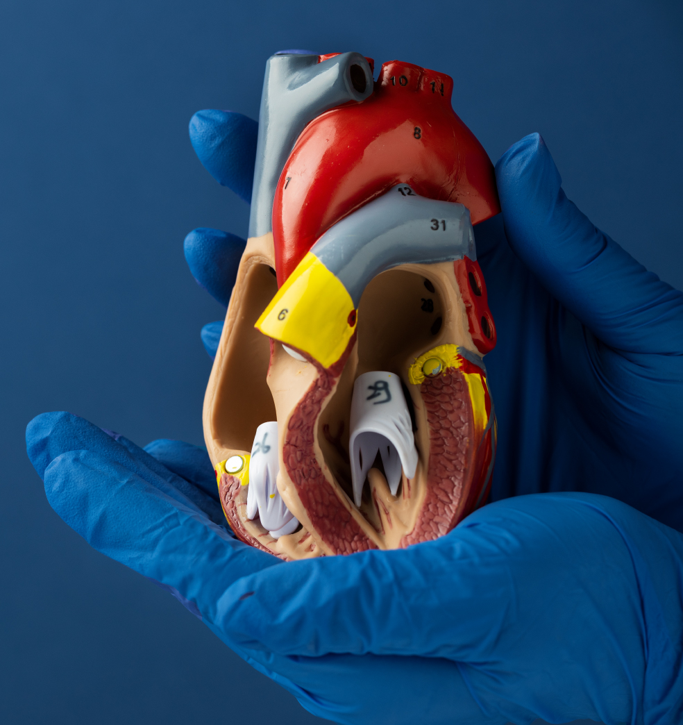 El dolor de pecho es una urgencia médica?