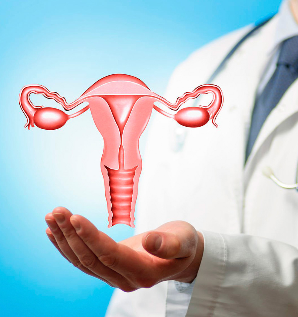 Embarazarse Es Posible