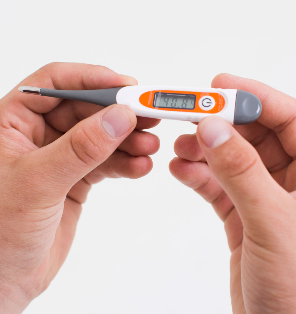 La fiebre en adultos