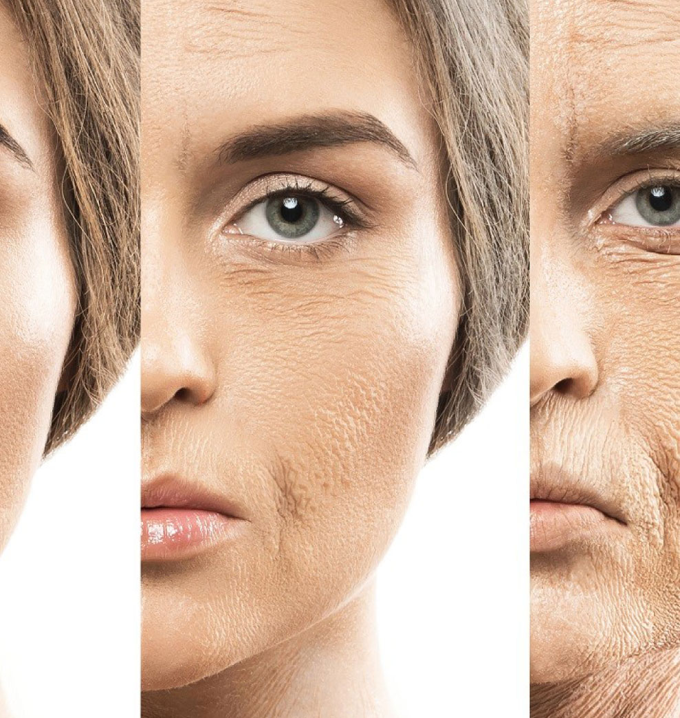 La vitamina D para disminuir la grasa y el envejecimiento